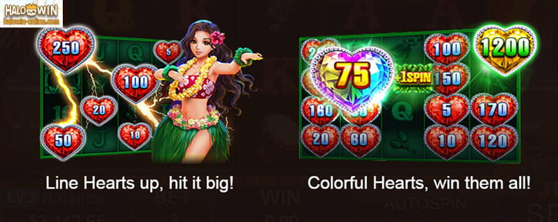 Hawaii Beauty Slot Machine, Paano Maglaro sa JILI Hawaii Beauty Slot Games