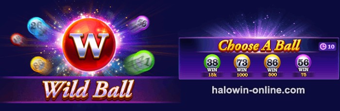 Super Bingo JILI, Jili Super Bingo Wild Ball?