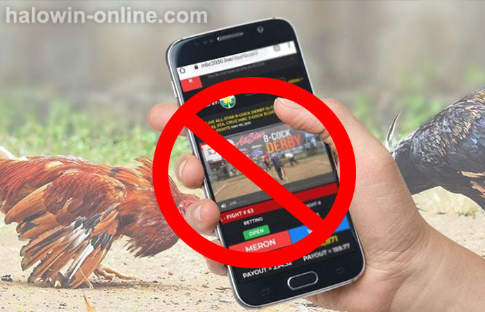 Sabong News: Deadly Betting sa Pilipinas sa Kasagsagan ng COVID-19