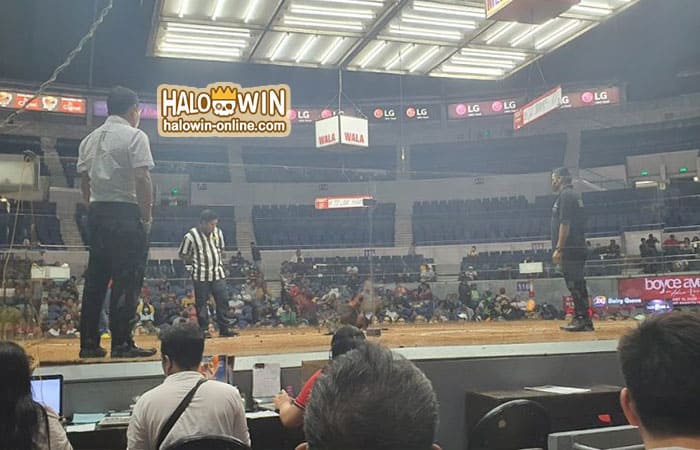 Eliminasyon sa World Slasher Cup 2023 at mga resulta sa semis